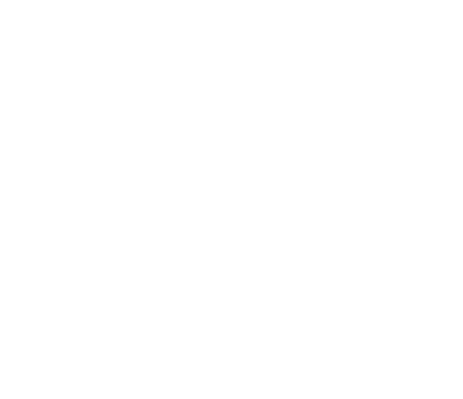 Horse Expert Ed Dabney – Litigation consultation and expert witness services